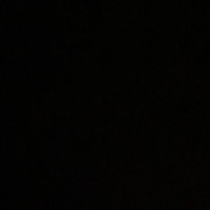 Meet your Posher, Larry